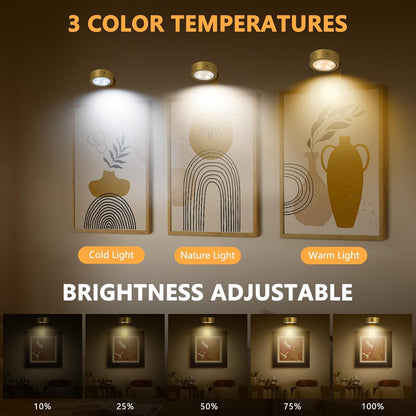 Lunel™ – Magnetic Lighting for Art Displays