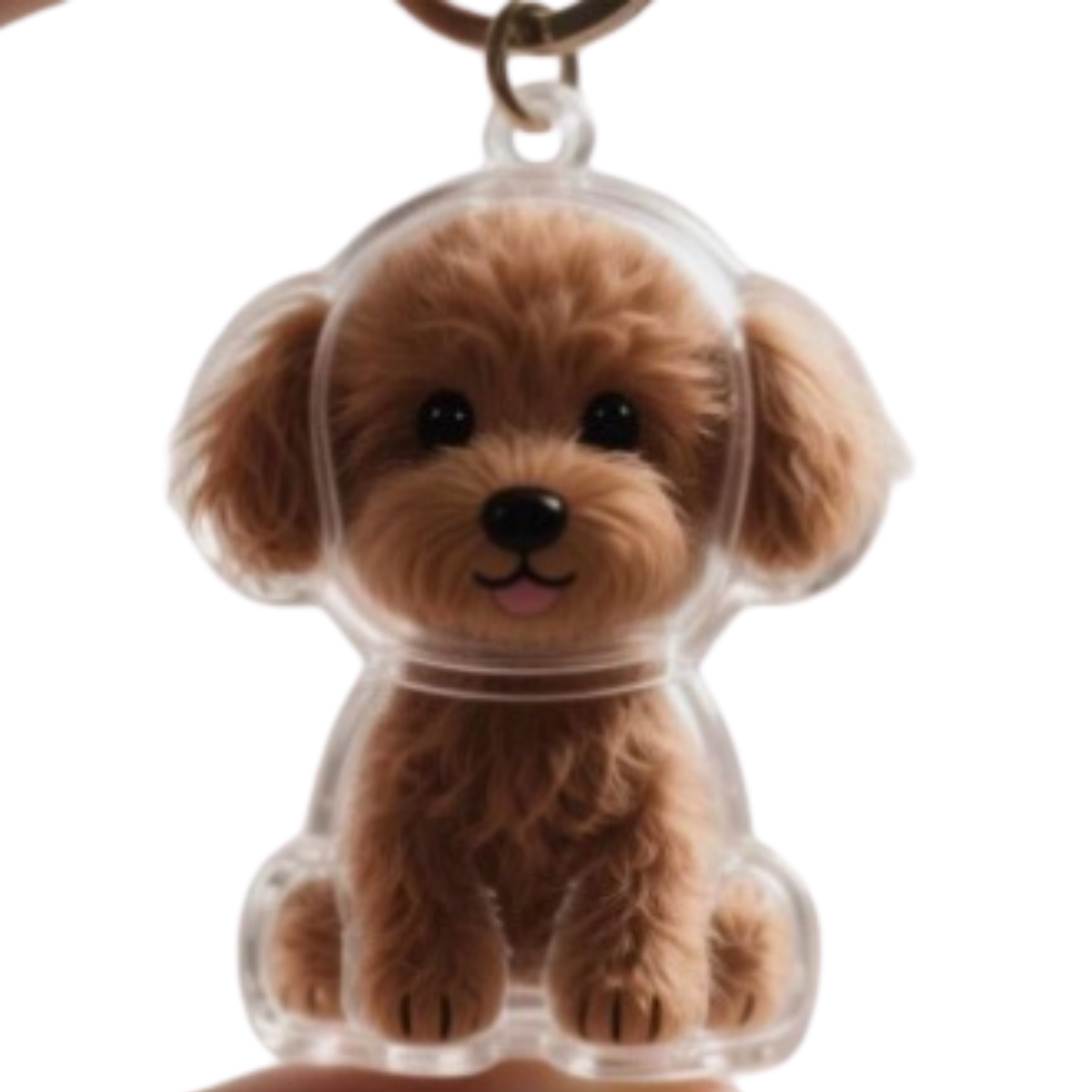 Fuzzkey™ – 2Pcs Pet Hair Storage Keychain  (50% Off)