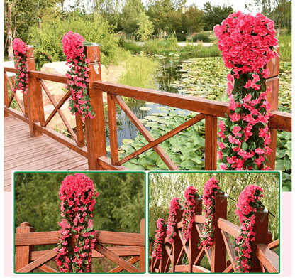 Florenza™ - Floating Orchid Displays for an Elegant Home (1+1 Free) - Evesbury