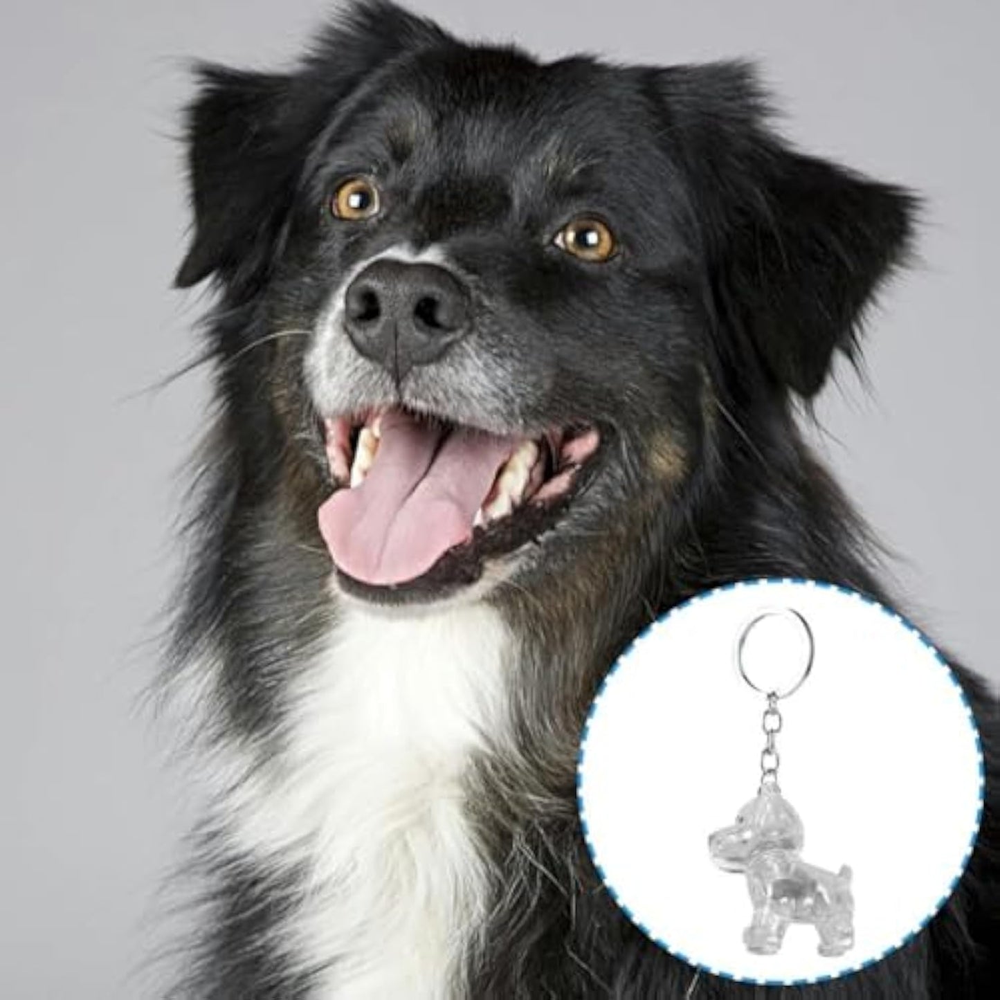 Fuzzkey™ – 2Pcs Pet Hair Storage Keychain  (50% Off)